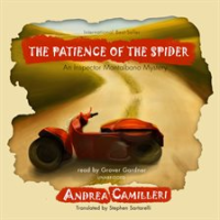 The_Patience_of_the_Spider